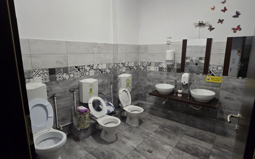 Sagului- Liviu Rebreanu- Casa 200 mp-curte si parcare