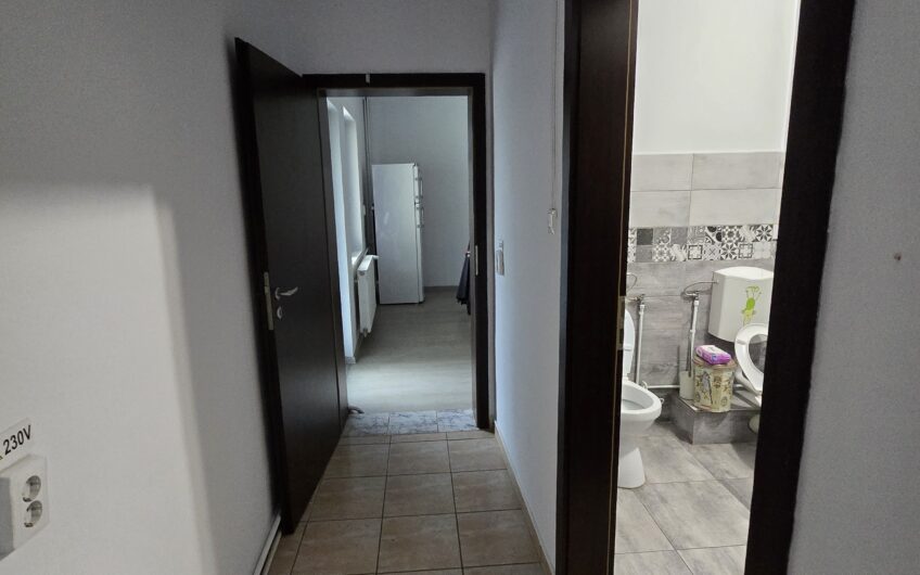 Sagului- Liviu Rebreanu- Casa 200 mp-curte si parcare