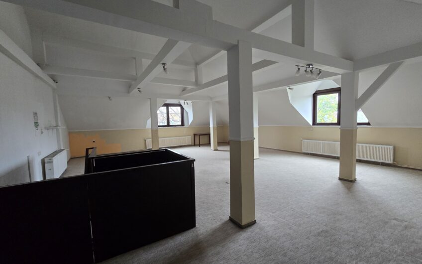 Sagului- Liviu Rebreanu- Casa 200 mp-curte si parcare