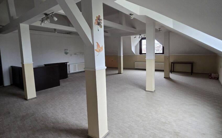 Sagului- Liviu Rebreanu- Casa 200 mp-curte si parcare