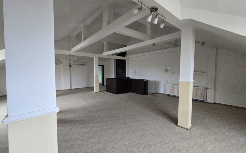 Sagului- Liviu Rebreanu- Casa 200 mp-curte si parcare