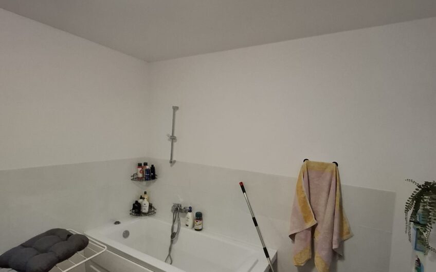 Sanandrei – Casa [Parter] 6 Camere – Anexa – Garaj -Teren Generos