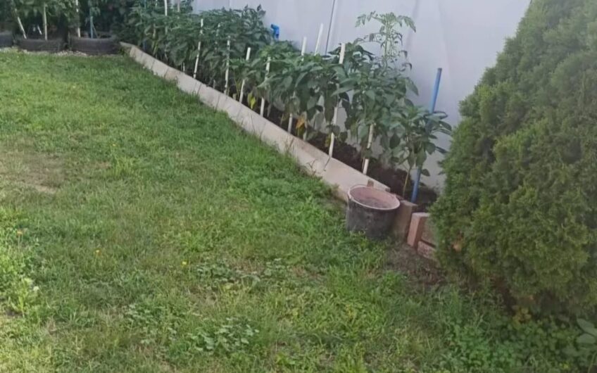 Varias – Casa Individuala 4 Camere [P] – Teren