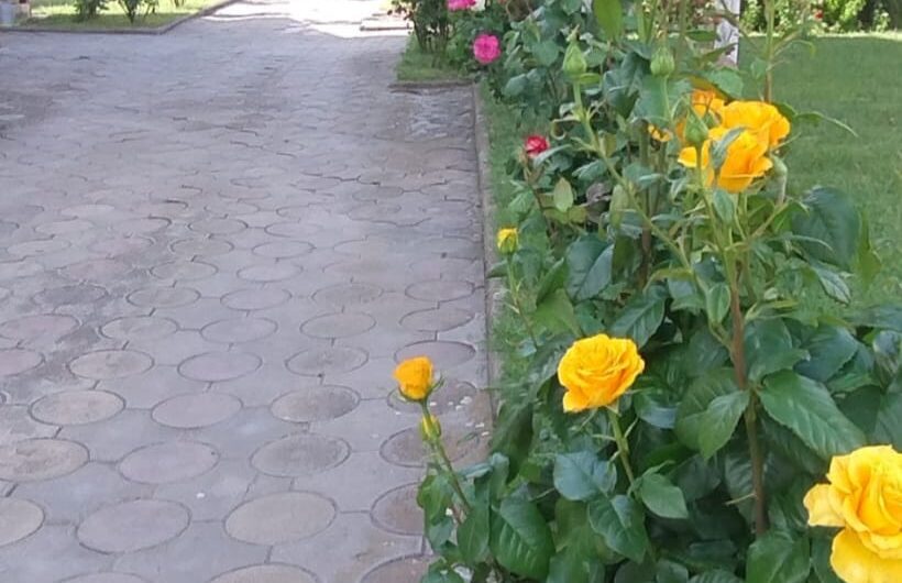 Sanandrei  duplex  5  Camere – Anexa – Garaj – Teren Generos