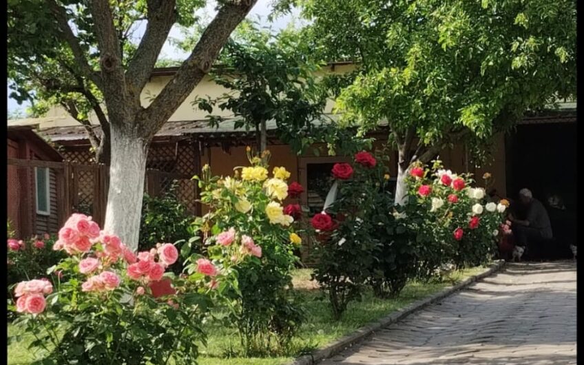 Sanandrei  duplex  5  Camere – Anexa – Garaj – Teren Generos