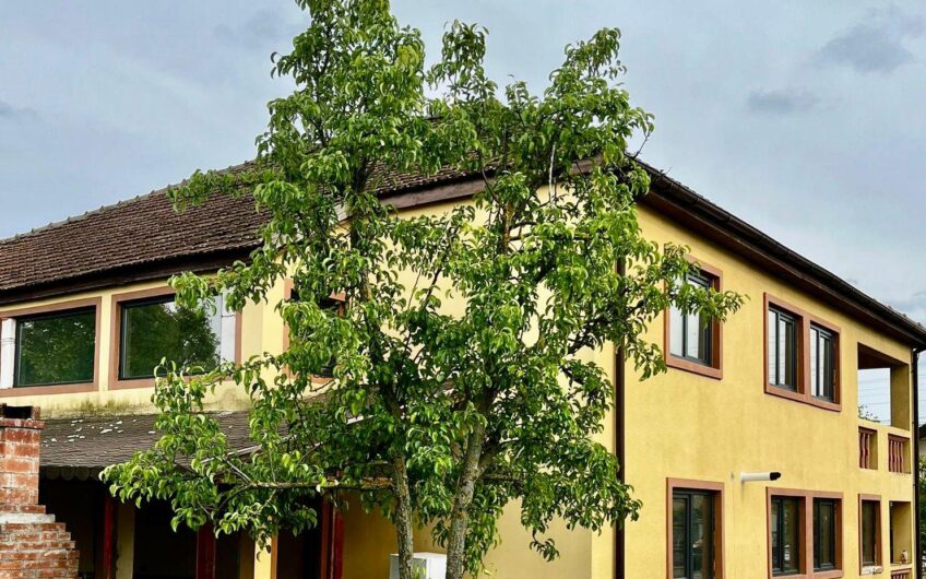 Sanandrei – Central – Duplex 5 Camere