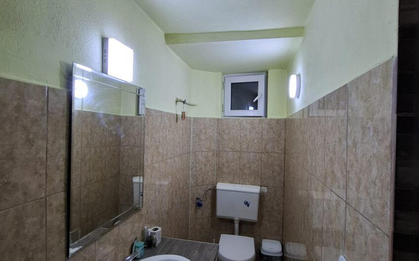 Sanandrei  duplex  5  Camere – Anexa – Garaj – Teren Generos